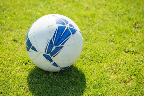 Soccer ball on the grass