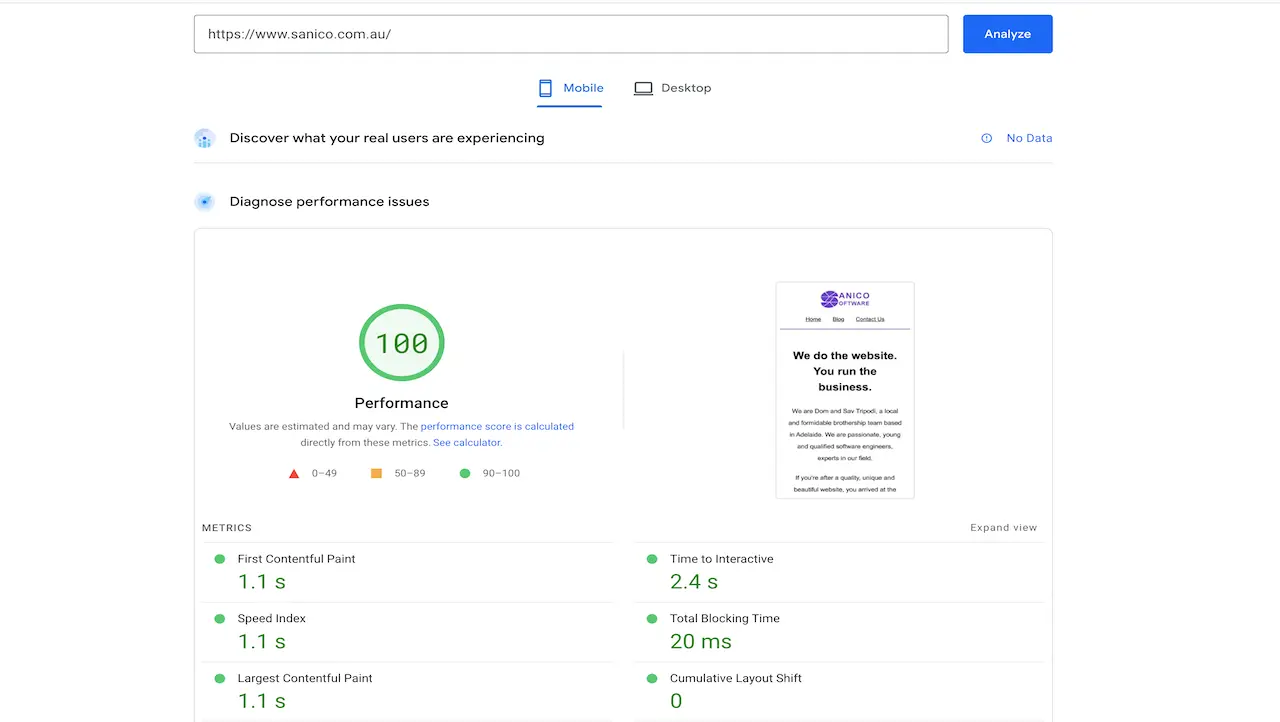 PageSpeed Insights performance test showing 100 for Sanico website